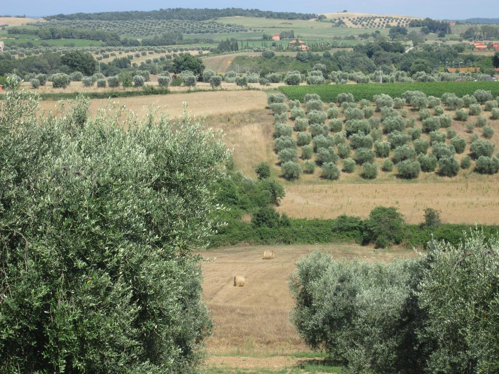 Agriturismo La Carlina Villa Magliano in Toscana Exteriör bild