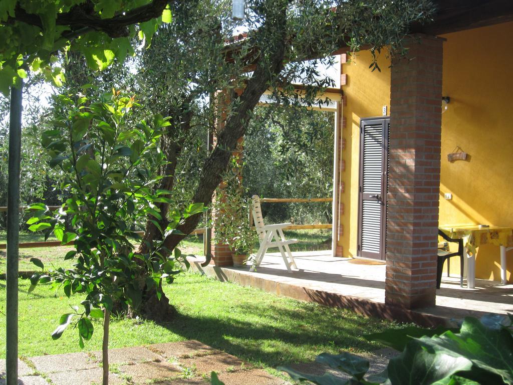 Agriturismo La Carlina Villa Magliano in Toscana Rum bild